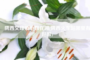 陇西文峰镇小姐在哪(陇西火车站哪里有姑娘)