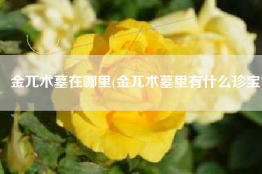 金兀术墓在哪里(金兀术墓里有什么珍宝)