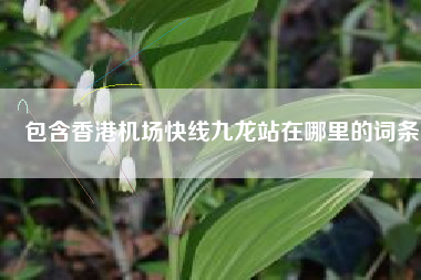 包含香港机场快线九龙站在哪里的词条