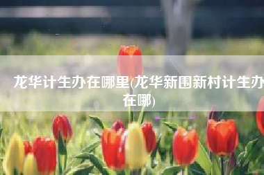 龙华计生办在哪里(龙华新围新村计生办在哪)
