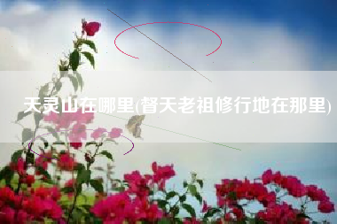 天灵山在哪里(督天老祖修行地在那里)