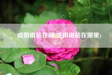 咸阳南站在哪(咸阳南站在哪里)