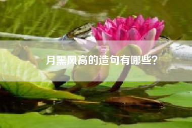 月黑风高的造句有哪些？