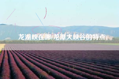 龙湖峡在哪(龙潭大峡谷的特点)