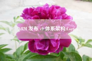 ARM 发布 v9 体系架构:Cortex