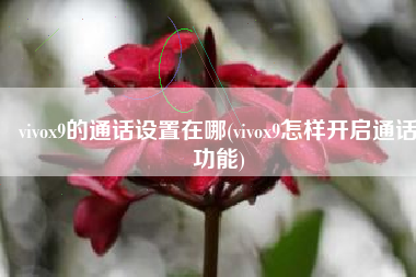 vivox9的通话设置在哪(vivox9怎样开启通话功能)