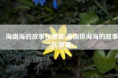 海南海的故事在哪里(海南琼海海的故事在哪里)