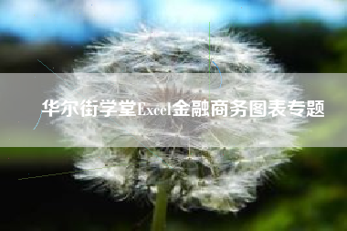 华尔街学堂Excel金融商务图表专题