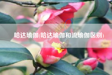 哈达瑜伽(哈达瑜伽和流瑜伽区别)