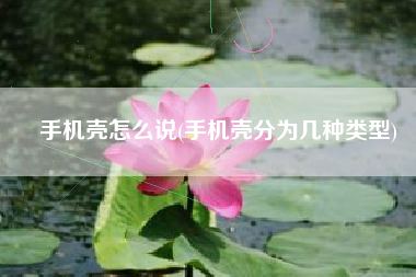 手机壳怎么说(手机壳分为几种类型)