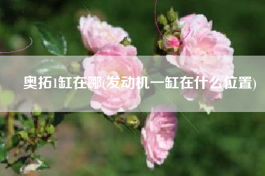 奥拓1缸在哪(发动机一缸在什么位置)