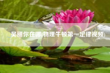 吴丽你在哪(物理牛顿第一定律视频)