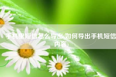 手机里短信怎么导出(如何导出手机短信内容)