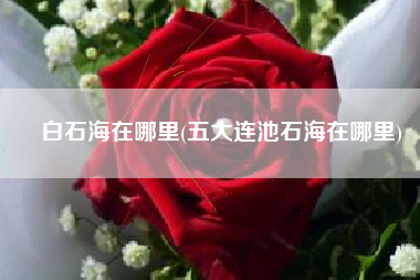 白石海在哪里(五大连池石海在哪里)