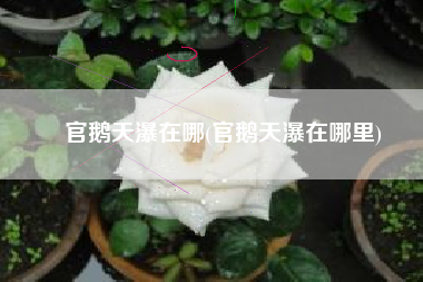 官鹅天瀑在哪(官鹅天瀑在哪里)