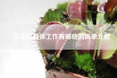 文化站具体工作有哪些的简单介绍