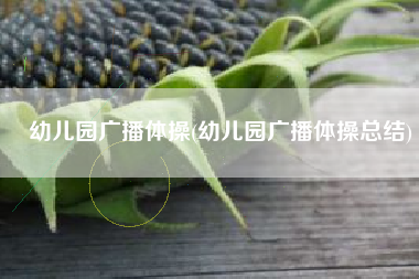 幼儿园广播体操(幼儿园广播体操总结)