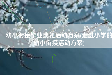 幼小衔接毕业典礼活动方案(走进小学的幼小衔接活动方案)