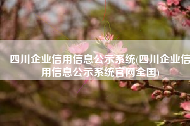 四川企业信用信息公示系统(四川企业信用信息公示系统官网全国)