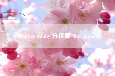 TeleGeography 分析师 Shermaine Yu