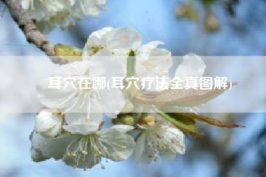 耳穴在哪(耳穴疗法全真图解)