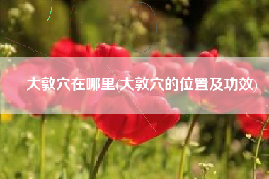 大敦穴在哪里(大敦穴的位置及功效)