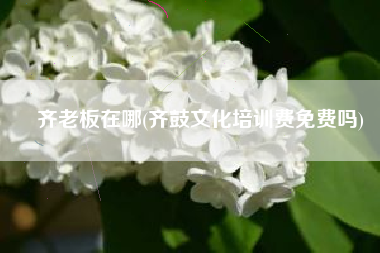 齐老板在哪(齐鼓文化培训费免费吗)