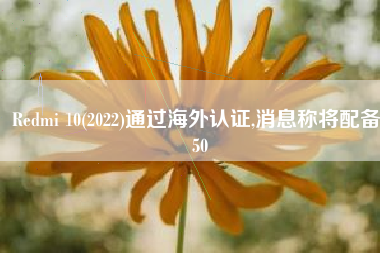 Redmi 10(2022)通过海外认证,消息称将配备 50