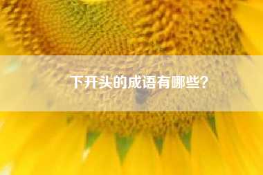 下开头的成语有哪些？