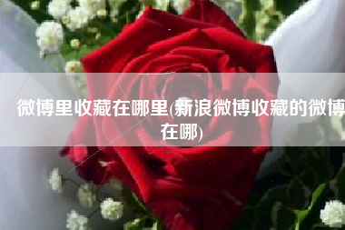 微博里收藏在哪里(新浪微博收藏的微博在哪)