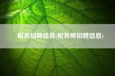 税务招聘信息(税务师招聘信息)