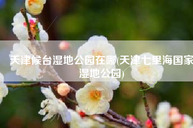 天津候台湿地公园在哪(天津七里海国家湿地公园)