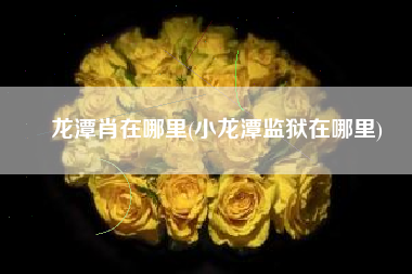 龙潭肖在哪里(小龙潭监狱在哪里)