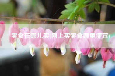 零食在哪儿买(网上买零食哪里便宜)