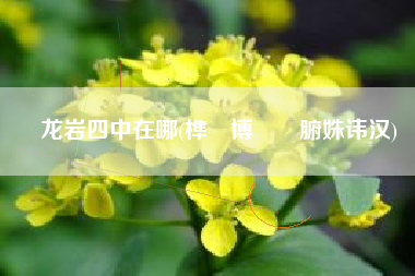 龙岩四中在哪(榫欏博鍥涗腑姝讳汉)