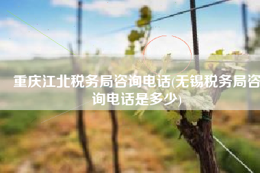 重庆江北税务局咨询电话(无锡税务局咨询电话是多少)