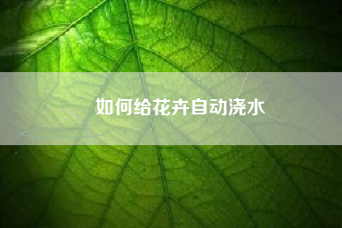 如何给花卉自动浇水