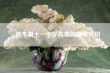 神木第十一小学在哪的简单介绍