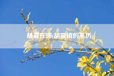 胡襄在哪(胡襄镇的来历)