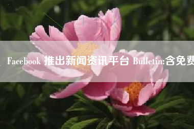 Facebook 推出新闻资讯平台 Bulletin:含免费