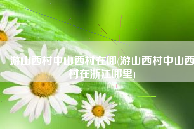 游山西村中山西村在哪(游山西村中山西村在浙江哪里)
