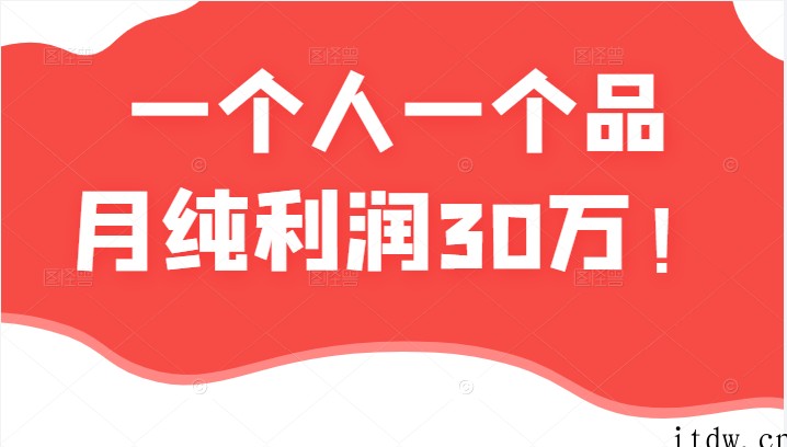 某公众号付费文章：一个人一个品月纯利润30万的蓝海电商经典案例！