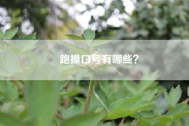 跑操口号有哪些？