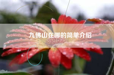 九佛山在哪的简单介绍