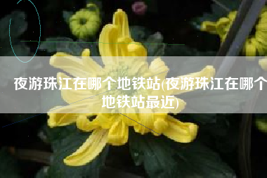 夜游珠江在哪个地铁站(夜游珠江在哪个地铁站最近)