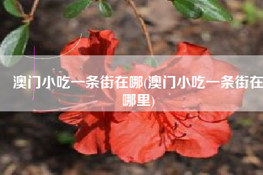 澳门小吃一条街在哪(澳门小吃一条街在哪里)