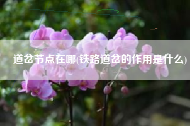 道岔节点在哪(铁路道岔的作用是什么)