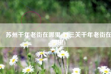 苏州千年老街在哪里(野三关千年老街在哪里)