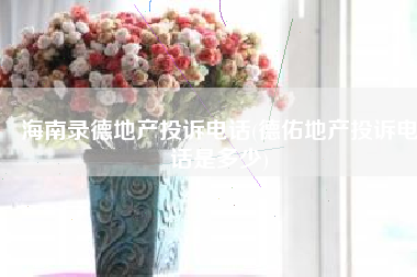 海南录德地产投诉电话(德佑地产投诉电话是多少)
