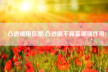 凸透镜用在哪(凸透镜不具备哪项作用)